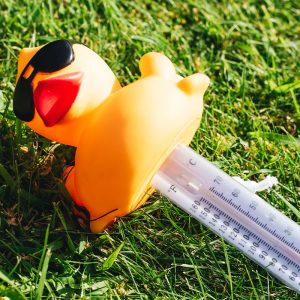 Duck Thermometer